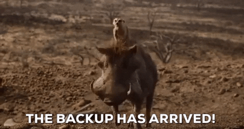 The Lion King Trailer GIF - Find & Share on GIPHY