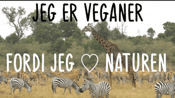 Climate Change GIF by Veganerpartiet - Vegan Party of Denmark