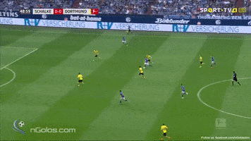 shalke GIF by nss sports