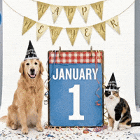 Happy New Year Calendar GIF