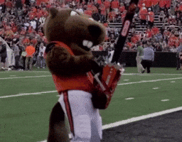 Osu GIF