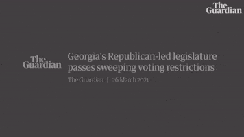 Voting Donald Trump GIF by guardian