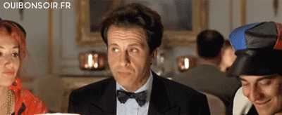 pierre visiteurs GIF