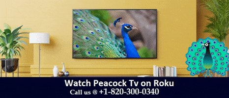 Peacock Tv Roku GIF