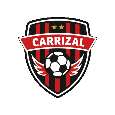 Futbolsanjavier Sticker