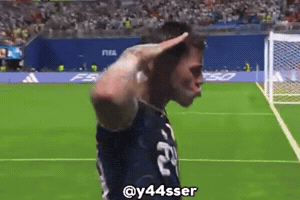 World Cup Celebration GIF