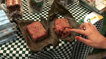 Expocan GIF