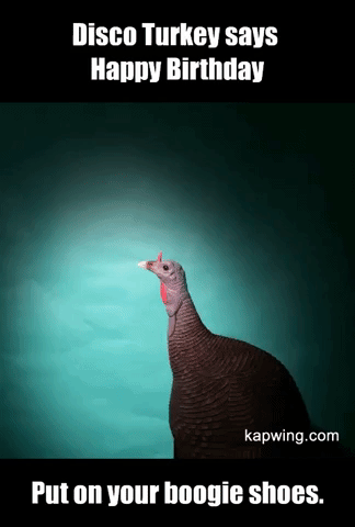 Disco Turkey GIF