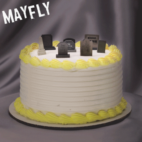 you're old happy birthday GIF by Mayfly