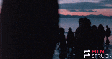 northern lights 80s GIF by FilmStruck