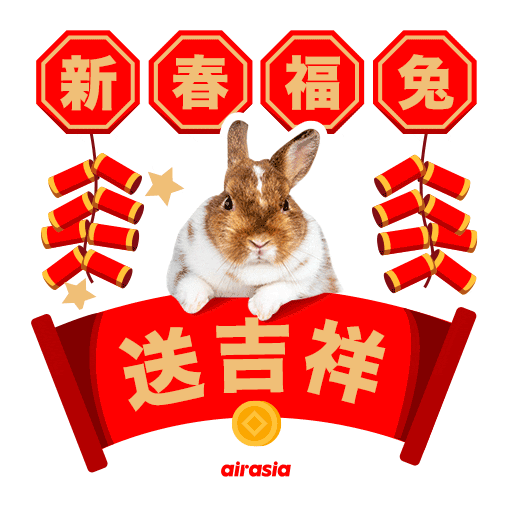 Chinese New Year Bunny Sticker by airasia