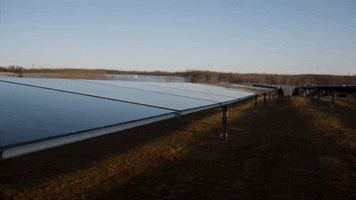 Bantam Communications GIF