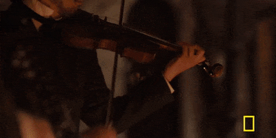 200.gif?cid=fc005b08cd4be4c2fa0c9cdd779e7c4117a3cd5e102883e5&rid=200.gif&ct=g