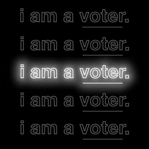 Vote GIF by I am a voter.