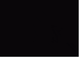 GIF by Epic Rides