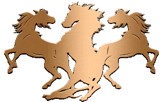crazyhorse3lv Sticker