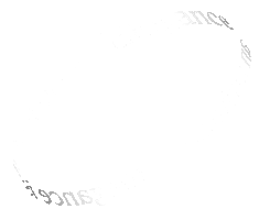 Watch Elegance Sticker by Longines