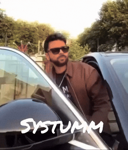Systumm GIF