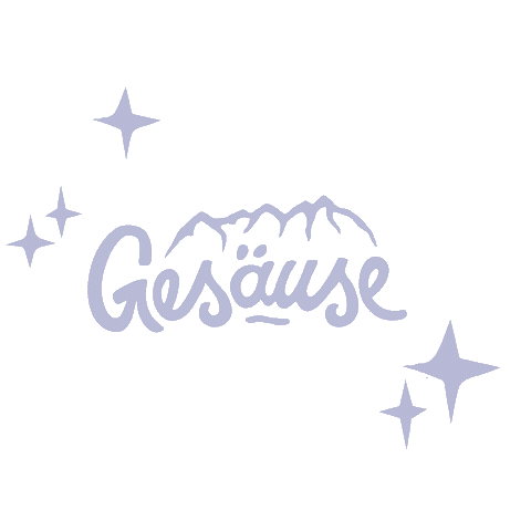 Stars Night Sticker by Gesäuse