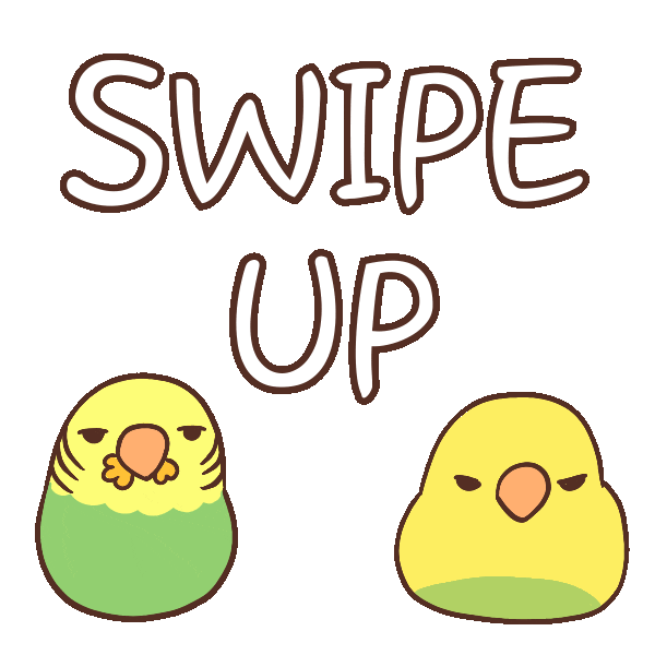 Bird Swipe Up Sticker by A Budgie's Life for iOS & Android GIPHY