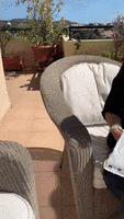 200.gif?cid=fc005b089124c84df29d319c6ebbaaf2d9cd607c1fa1e492&rid=200.gif&ct=g