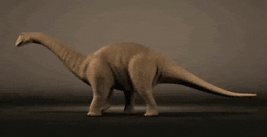 Dinosaur Brontosaurus GIF