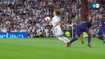 acc  GIF