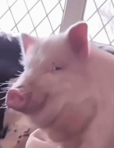 Hungry Monster GIF