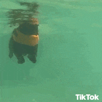 On My Way Swimming GIF by TikTok
