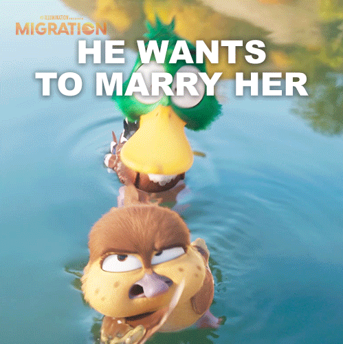 MigrationMovie duck marriage proposal gwen GIF