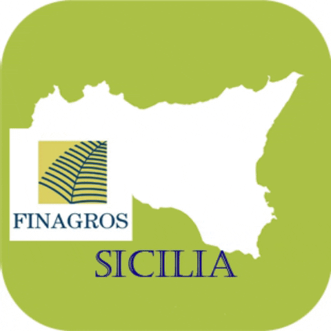 Finagros GIF