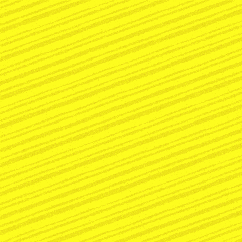 News GIF