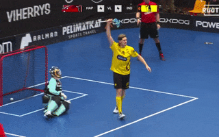 Celebration Floorball GIF by Westend Indians