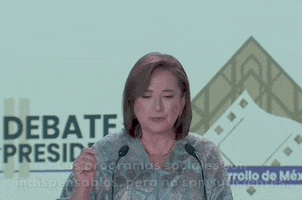 Vote Pan GIF by GIPHY News