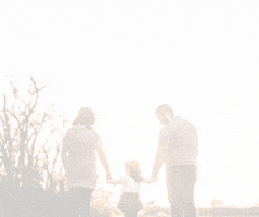 Best Visitor Insurance For Parents GIF