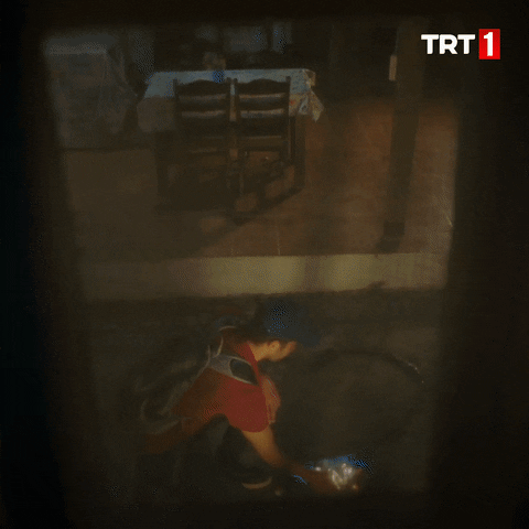 Valentines Day Love GIF by TRT