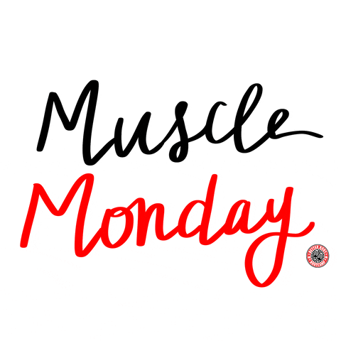 Better Body Bootcamp GIF