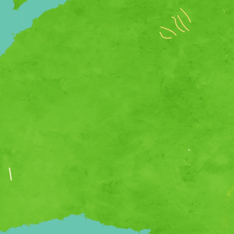 babueco GIF