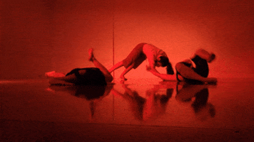 florahubot  GIF