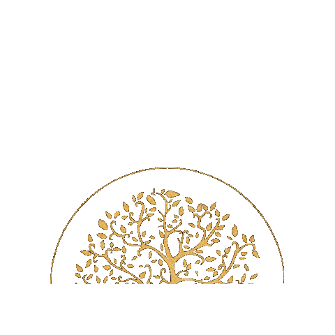 INSTITUTO DENTAL LIFE Sticker