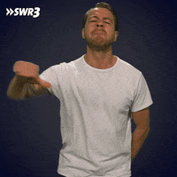Stop Thumbs Down GIF by SWR3