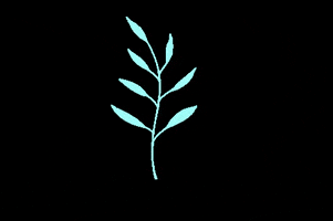 Aesthetic GIF