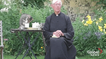 Tea Time Tabby GIF by The Daily Signal