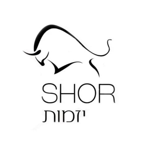 matan nistor GIF
