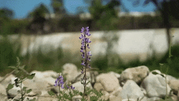 River Reaction GIF by Bay Ledges