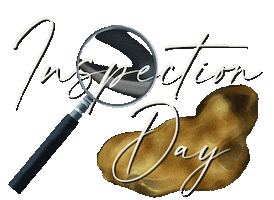 Astrid Elite International Sticker