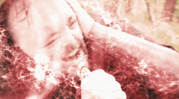 Blood Gringo GIF by flanderscompany