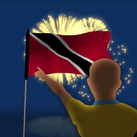 Tnt Trinidad GIF by UnicomerCourtsCaribbean