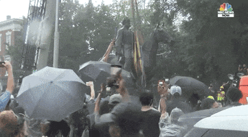 Richmond Virginia Removal GIF by GIPHY News