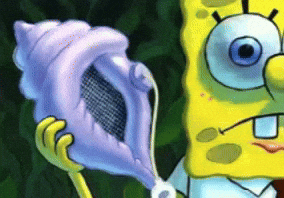 Spongebob Conch GIF
